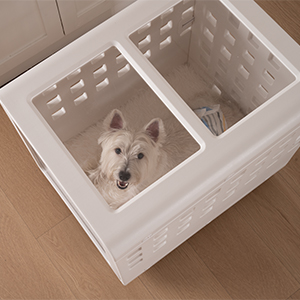 方舟狗窝-版本1