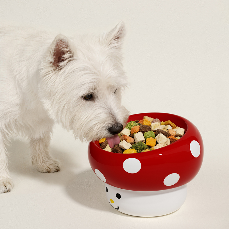 笑脸蘑菇陶瓷碗