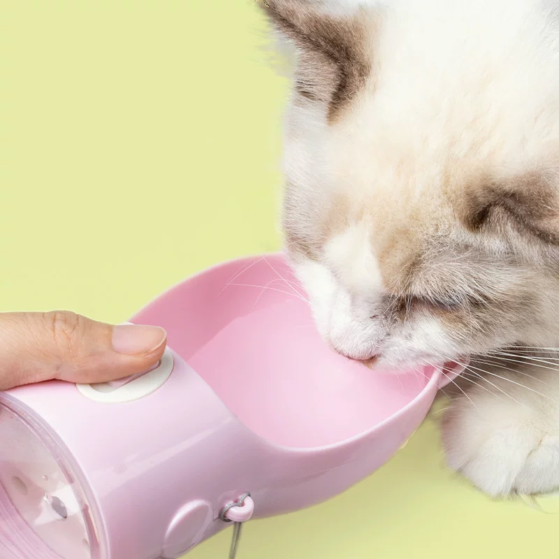 便携式喂水喂食器