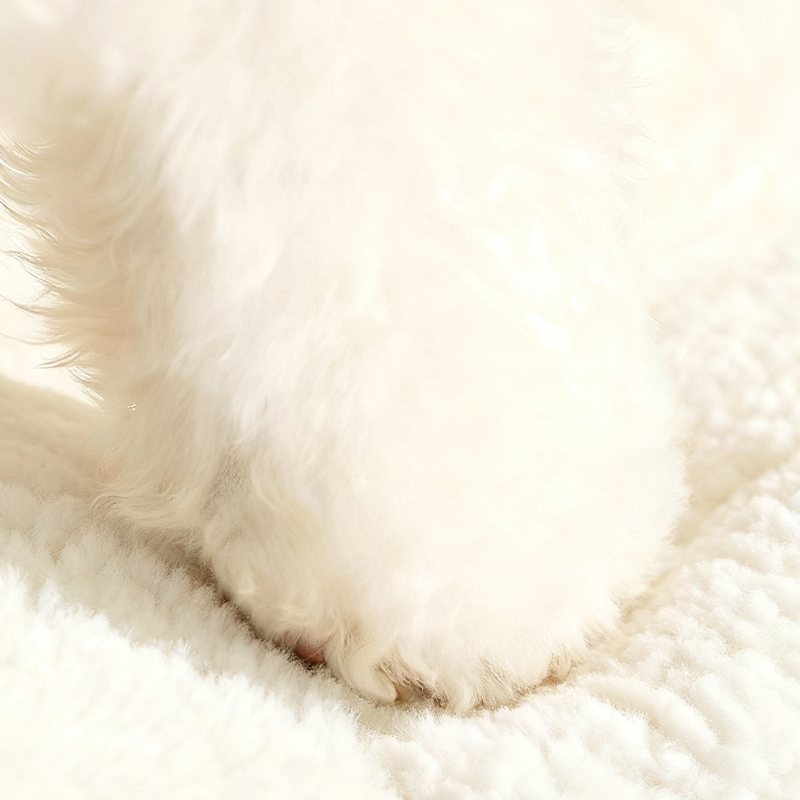 法兰绒狗窝-拼色款