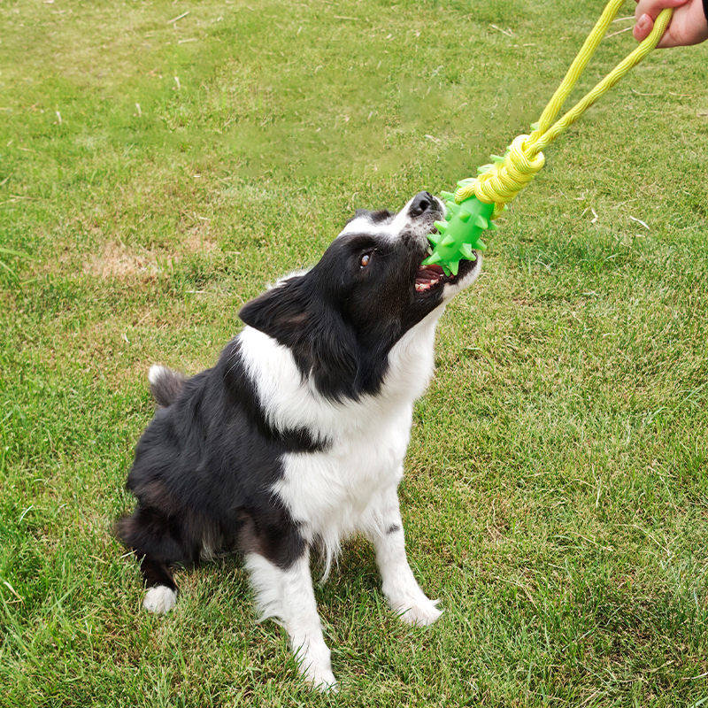 宠物磨牙玩具-型号2