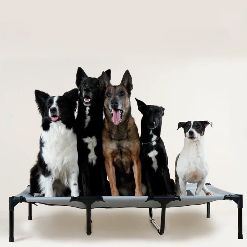 宠物行军床-型号1