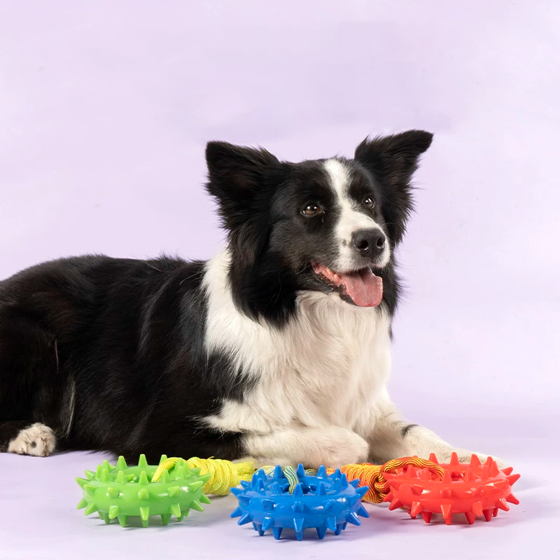 宠物磨牙玩具-型号2