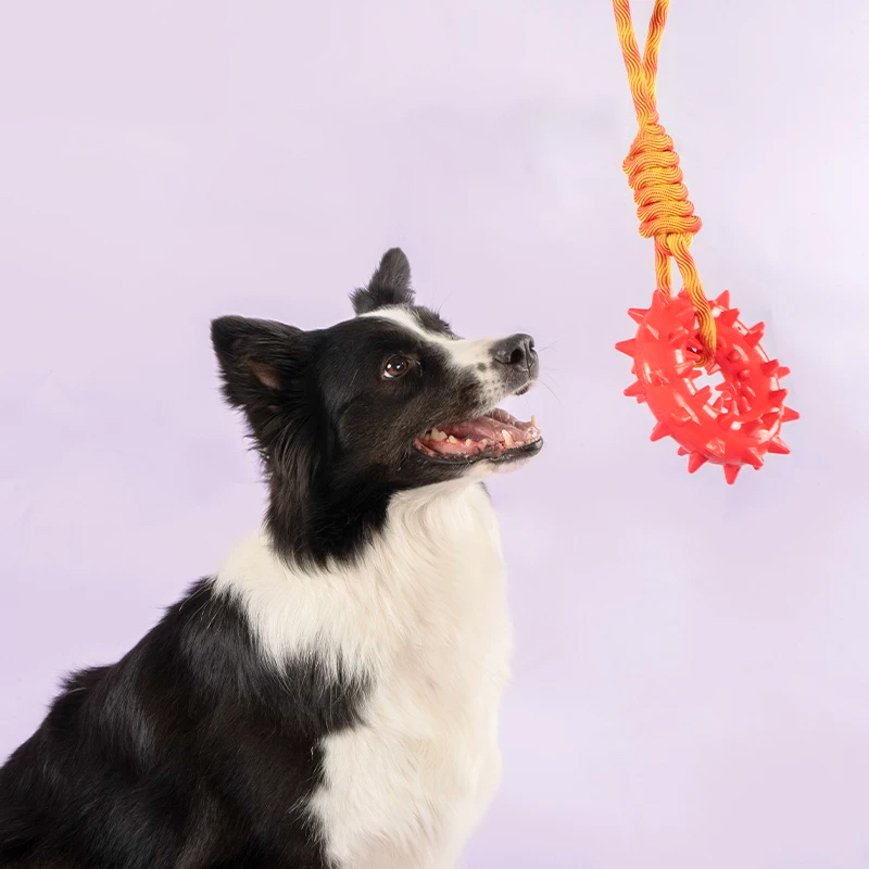 宠物磨牙玩具-型号2