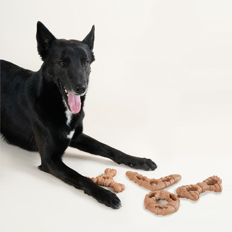 宠物磨牙玩具-型号1