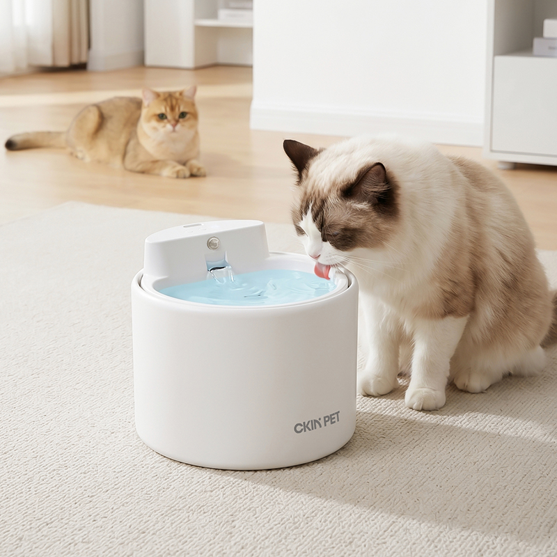 C01陶瓷喂水器